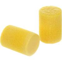 Bouchons d'oreilles E-A-R Classic, Paire - ensemble coussins Groupe Belzile Dickner