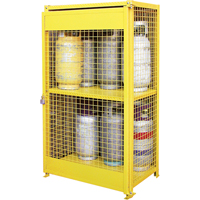 Gas Cylinder Cabinets, 12 Cylinder Capacity, 44" W x 30" D x 74" H, Yellow SAF847 | Dickner Inc