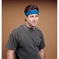 Serviette refroidissante standard, Bleu Groupe Belzile Dickner