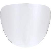 Lentilles de rechange Groupe Belzile Dickner