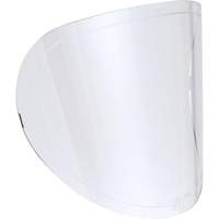 Lentilles de rechange Groupe Belzile Dickner