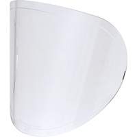 Lentilles de rechange Groupe Belzile Dickner