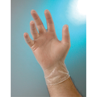Examination Grade Gloves, Small, Vinyl, 4-mil, Powder-Free, Clear, Class 2 SAI677 | Dickner Inc