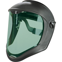 Faceshield Visors