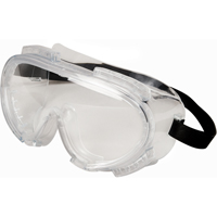 Encompass Safety Goggles, Clear Lens, Anti-Fog, Indirect Vent Groupe Belzile Dickner