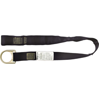 PointGuard Anchorage Connector Straps, D-Ring, Temporary Use Groupe Belzile Dickner