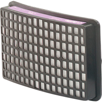 Speedglas Respiratory Protection-replacement Filters & Cartridges, P100 Filter, Pack of 2 Groupe Belzile Dickner