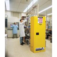 Armoire de s&eacute;curit&eacute; pour produits inflammables EX Slimline Sure-Grip , 22 gal., 1 Porte(s), 23,25" La x 65" h x 18" p Groupe Belzile Dickner