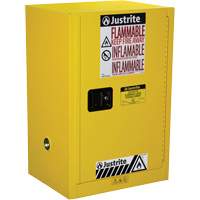 Armoire de s&eacute;curit&eacute; compacte pour produits inflammables EX Sure-Grip, 12 gal., 1 Porte(s), 23,25" La x 35" h x 18" p Groupe Belzile Dickner