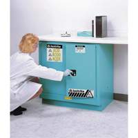 Armoires de s&eacute;curit&eacute; pour acides & produits corrosifs avec doublure ChemCor, 22 gal., 35" x 35" x 22" Groupe Belzile Dickner