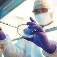 Gants d'examen Kimtech, T-Grand, Nitrile, 6 mils, Sans poudre, Mauve, Classe 2 Groupe Belzile Dickner