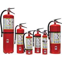 Extincteur d'incendie, ABC, Capacité 30 lb SED110 | Dickner Inc