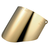 Visi&egrave;re Total Performance, Polycarbonate, Teinte Vert Groupe Belzile Dickner