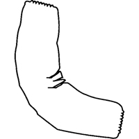 Sleeves, 18" long, Tyvek&reg; 400, White Groupe Belzile Dickner