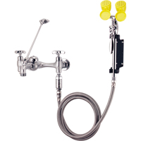 Faucet & Eyewash Station, Sink Mount Installation Groupe Belzile Dickner