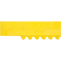 Border Ramp for Matting Groupe Belzile Dickner