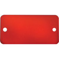 Blank Tags, Aluminum, 3" W x 1" H Groupe Belzile Dickner