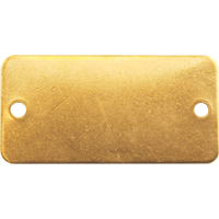 Blank Tags, Brass, 2" W x 1" H Groupe Belzile Dickner