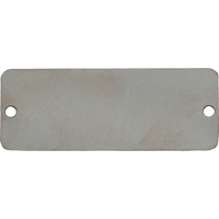 Blank Tags, Stainless Steel, 2" W x 1" H Groupe Belzile Dickner