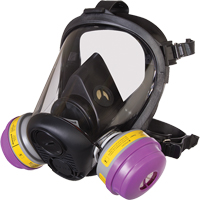 North<sup>®</sup> RU6500 Series Full Facepiece Respirator, Silicone, Medium SDN449 | Dickner Inc