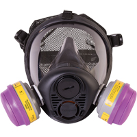 Respirateur à masque complet de série RU6500 de North<sup>MD</sup>, Silicone, Petit SDN451 | Dickner Inc