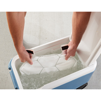 6215 Phase Change Packs for Cooling Vests Groupe Belzile Dickner