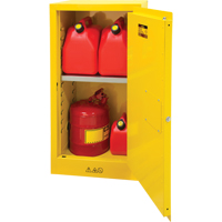 Flammable Storage Cabinet, 16 gal., 1 Door, 23" W x 44" H x 18" D Groupe Belzile Dickner