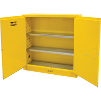 Flammable Storage Cabinet, 24 gal., 2 Door, 43" W x 44" H x 12" D Groupe Belzile Dickner