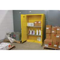 Armoire pour produits inflammables, 45 gal., 2 Porte(s), 43" La x 65" h x 18" p SDN647 | Dickner Inc
