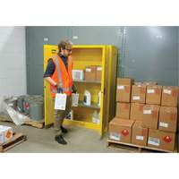 Flammable Storage Cabinet, 45 gal., 2 Door, 43" W x 65" H x 18" D Groupe Belzile Dickner