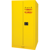 Armoire pour produits inflammables, 60 gal., 2 Porte(s), 34" La x 65" h x 34" p Groupe Belzile Dickner