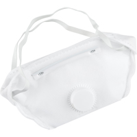 Particulate Respirator, N95, NIOSH Certified, Medium/Large Groupe Belzile Dickner