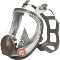 6000 Series Full Facepiece Reusable Respirator, Elastomer/Silicone/Thermoplastic, Small Groupe Belzile Dickner