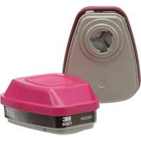 6000 Series Respirator Cartridges, Gas/Vapour Cartridge, Organic Vapour/P100 Groupe Belzile Dickner