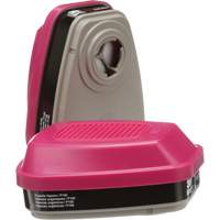 6000 Series Respirator Cartridges, Gas/Vapour Cartridge, Organic Vapour/P100 Groupe Belzile Dickner