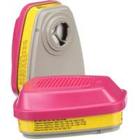 6000 Series Respirator Cartridges, Gas/Vapour Cartridge, Organic Vapour/Acid Gas/P100 Groupe Belzile Dickner