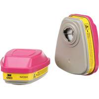 6000 Series Respirator Cartridges, Gas/Vapour Cartridge, Organic Vapour/Acid Gas/P100 Groupe Belzile Dickner