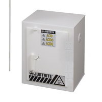 Armoires solides en poly&eacute;thyl&egrave;ne pour acides, 6 x 0,66043 gal., 17" x 22" x 17" Groupe Belzile Dickner