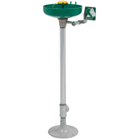 Axion&reg; Eye/Face Wash Station, Pedestal Installation, Plastic Bowl Groupe Belzile Dickner