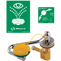 Eye/Face Wash Station, Sink Mount Installation Groupe Belzile Dickner