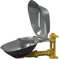 Halo Eyewash Stations, Wall-Mount Installation, Stainless Steel Bowl Groupe Belzile Dickner