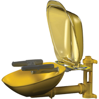 Halo Face/Eyewash Stations, Wall-Mount Installation, Plastic Bowl Groupe Belzile Dickner