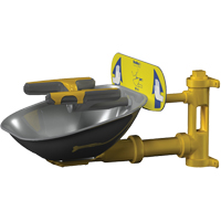 Halo Face/Eyewash Stations, Wall-Mount Installation, Stainless Steel Bowl Groupe Belzile Dickner