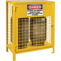 Gas Cylinder Cabinets, 2 Cylinder Capacity, 30" W x 17" D x 37" H, Yellow SEB837 | Dickner Inc