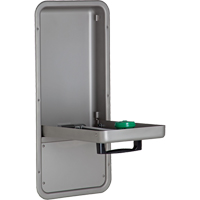 Eye/Face Wash Station, Wall-Mount Installation, Stainless Steel Bowl Groupe Belzile Dickner