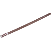 Leg Straps Groupe Belzile Dickner