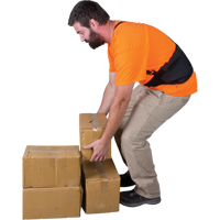 Support lombaire, &eacute;lastique, Petit Groupe Belzile Dickner