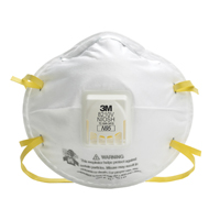 8210V Particulate Respirators, N95, NIOSH Certified Groupe Belzile Dickner