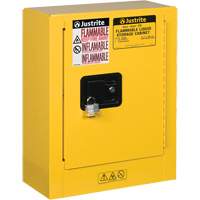 Sure-Grip&reg; EX Mini Flammable Safety Cabinet, 2 Gal., 1 Door, 17" W x 22" H x 8" D Groupe Belzile Dickner