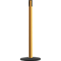 Advance TensaBarrier&reg; - Receiver Post, 36" High, Yellow Groupe Belzile Dickner